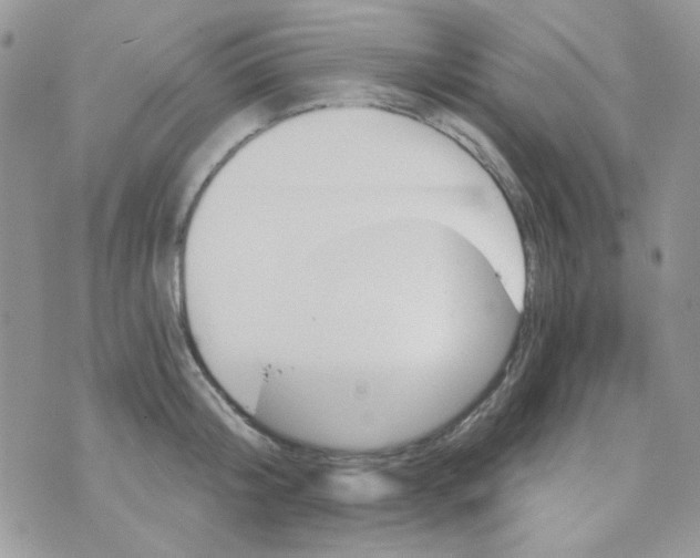 X0000073750804200608311934