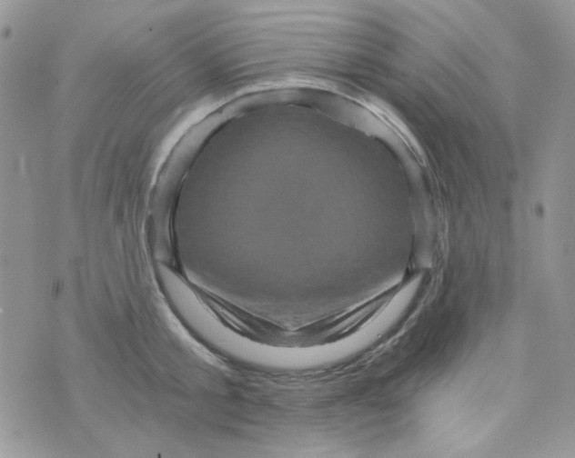 X0000073750805200608311934