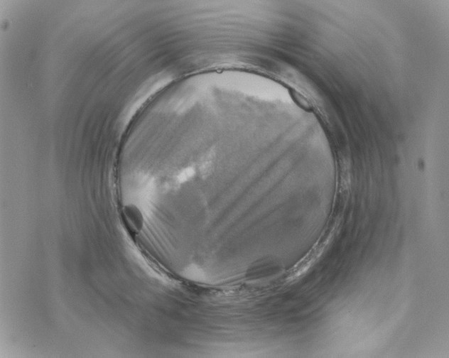 X0000073750806200608311934