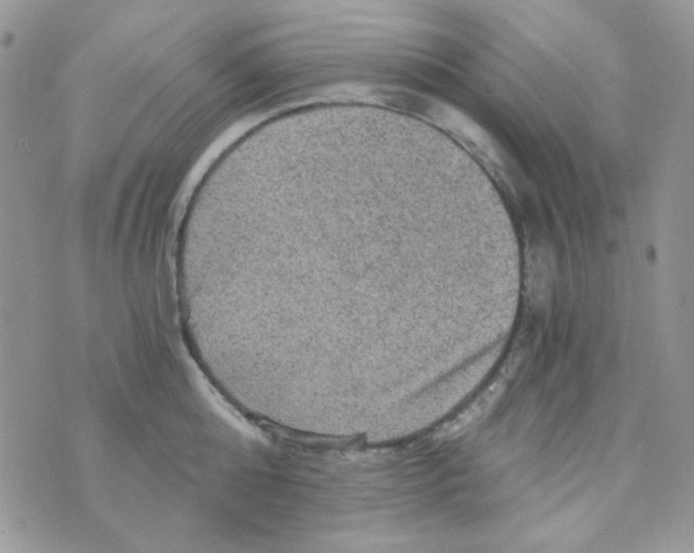 X0000073750808200608311934