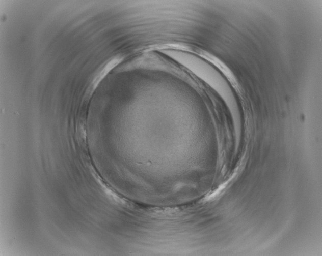 X0000073750809200608311934