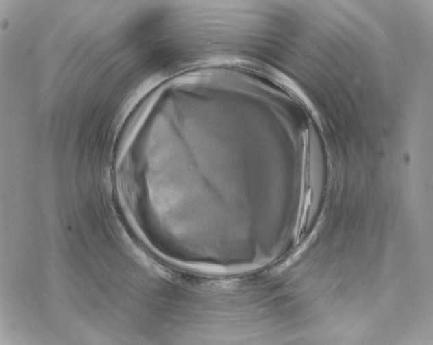 X0000073750810200608311933