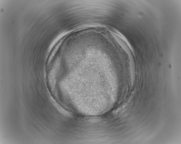 X0000073750811200608311933