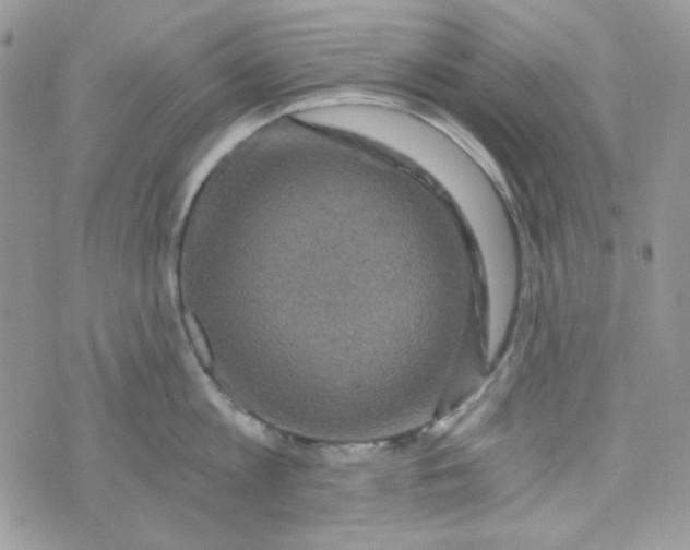 X0000073750813200608311933