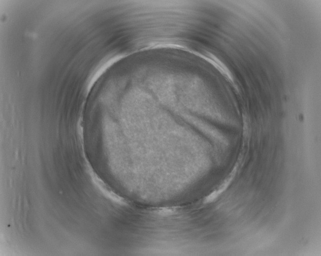 X0000073750814200608311933