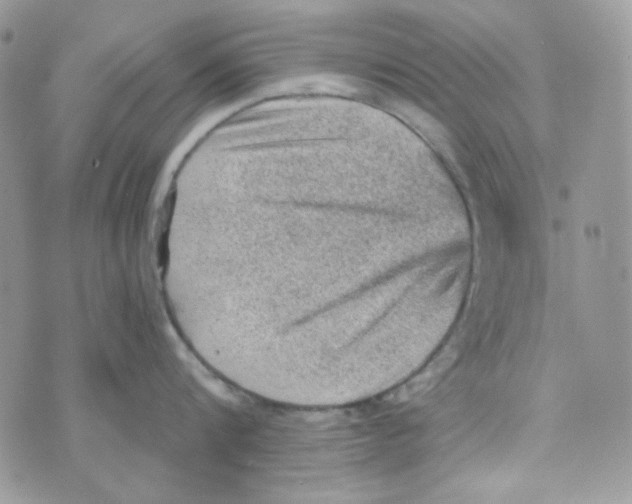 X0000073750816200608311933