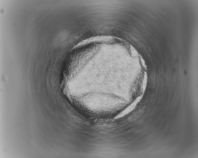 X0000073750817200608311933