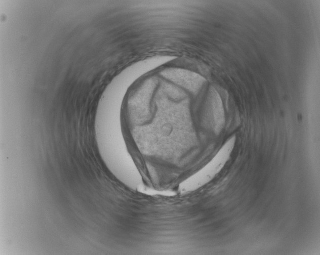 X0000073750818200608311933