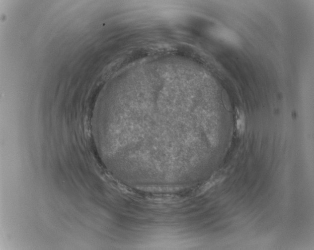 X0000073750819200608311933