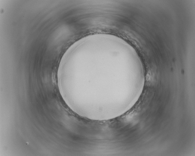 X0000073750820200608311933