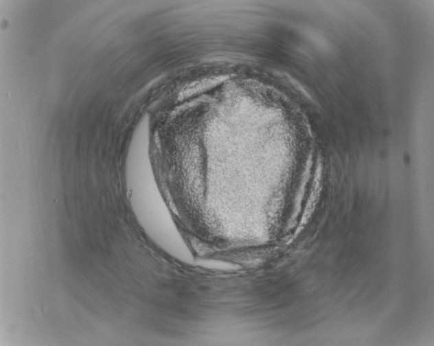 X0000073750821200608311933