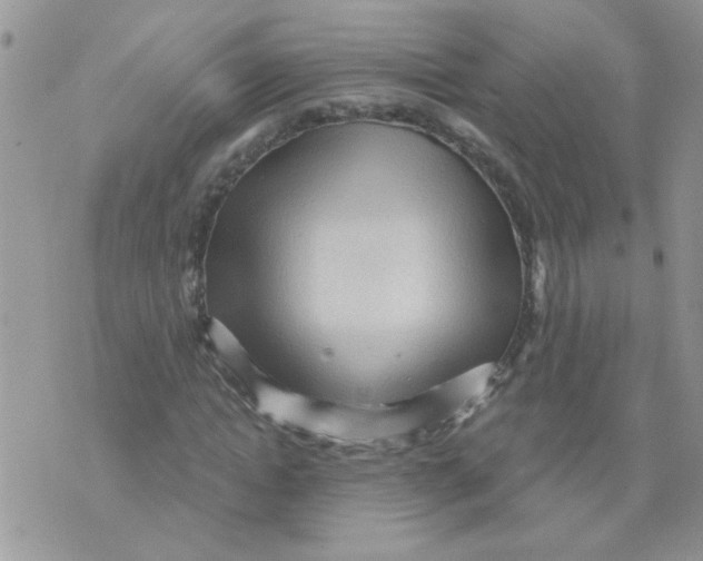 X0000073750822200608311933