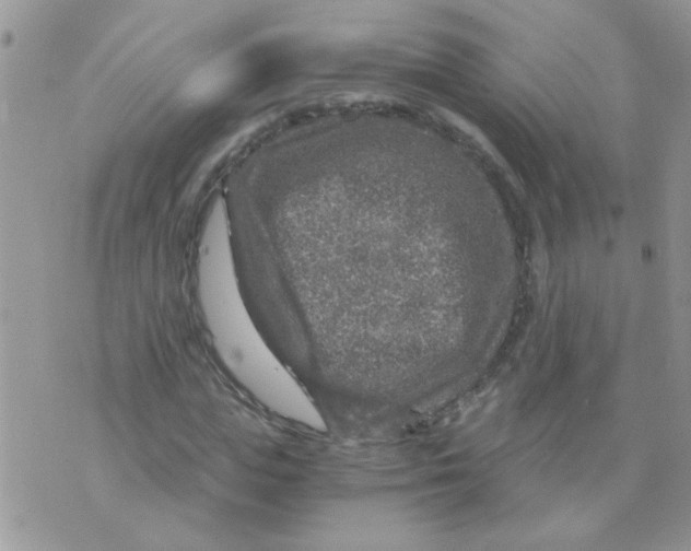 X0000073750823200608311933