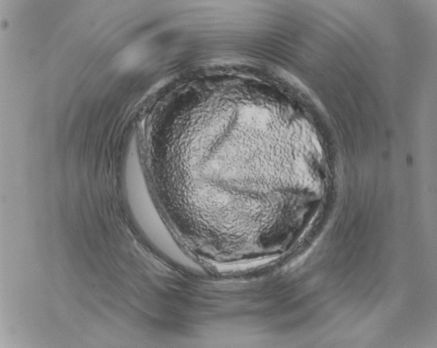 X0000073750825200608311933