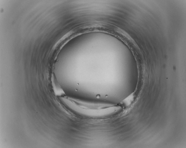 X0000073750826200608311933