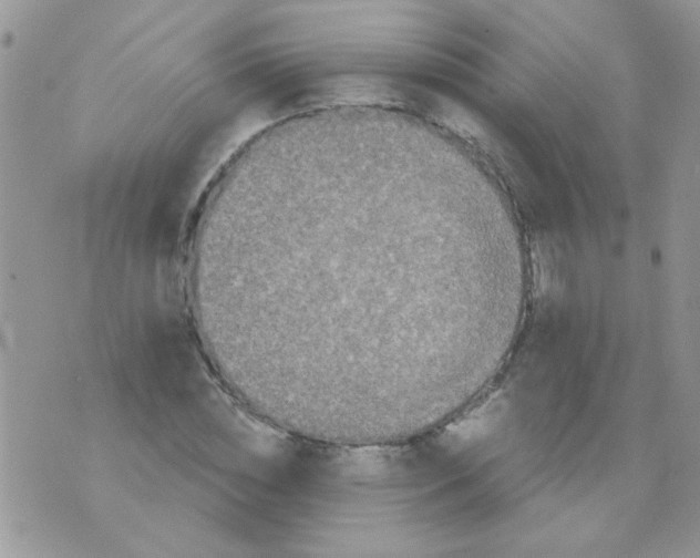 X0000073750828200608311933