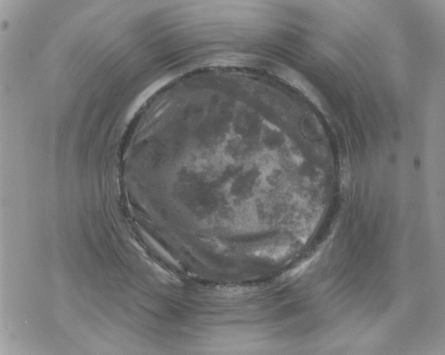 X0000073750829200608311933