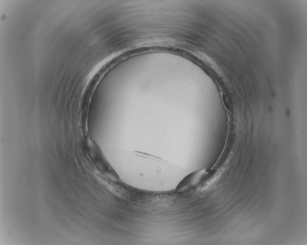 X0000073750830200608311933