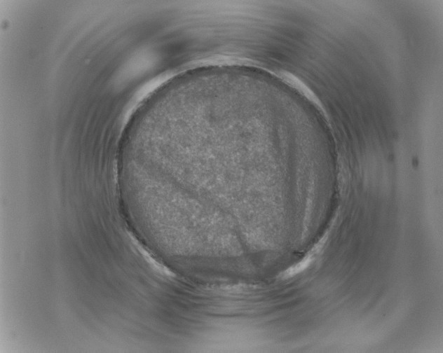 X0000073750831200608311933