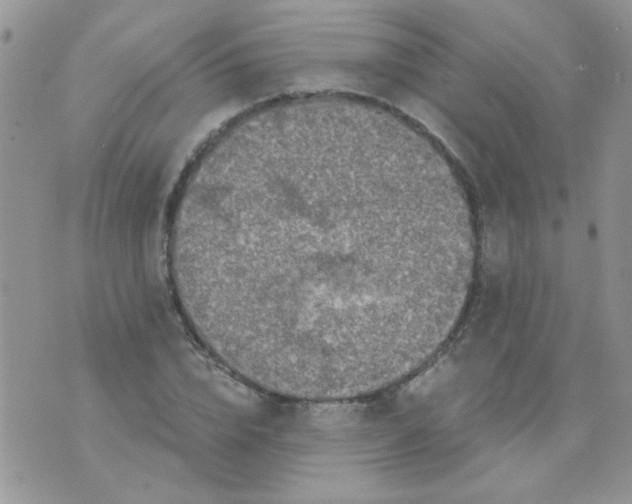 X0000073750832200608311933