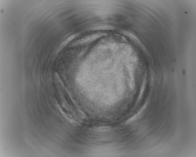 X0000073750833200608311933