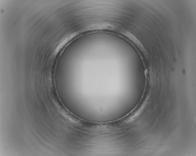 X0000073750834200608311933