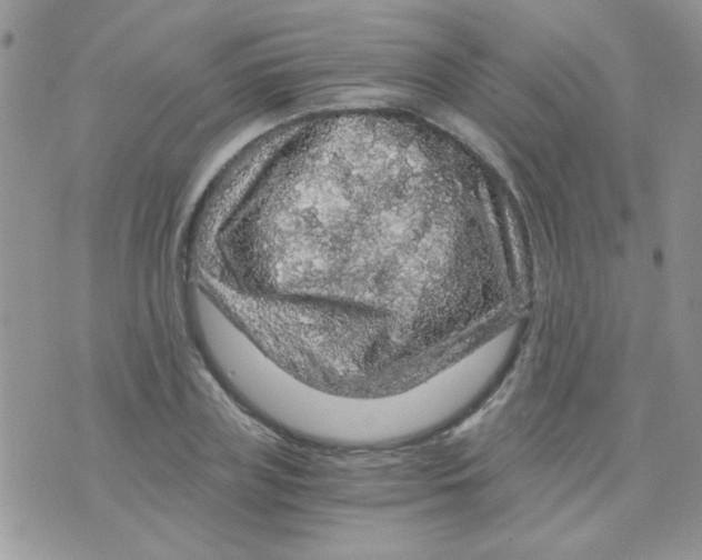 X0000073750835200608311933