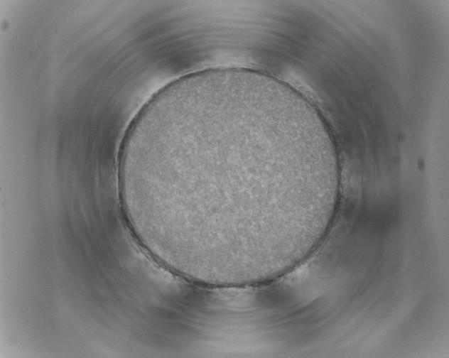 X0000073750836200608311933