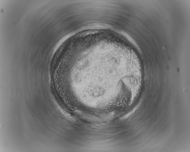 X0000073750837200608311933