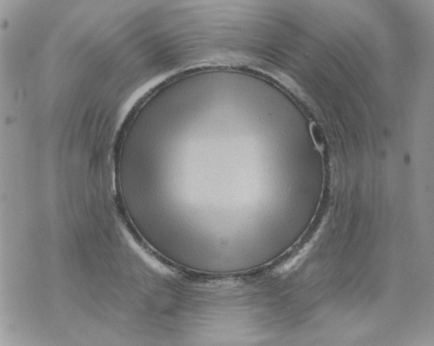 X0000073750838200608311933