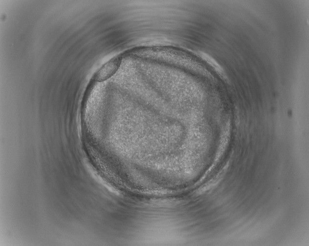 X0000073750840200608311933