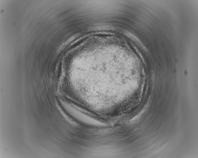 X0000073750841200608311933