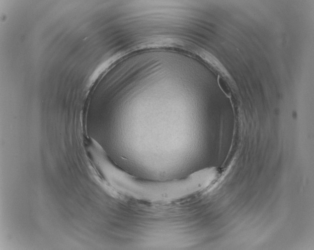 X0000073750842200608311933