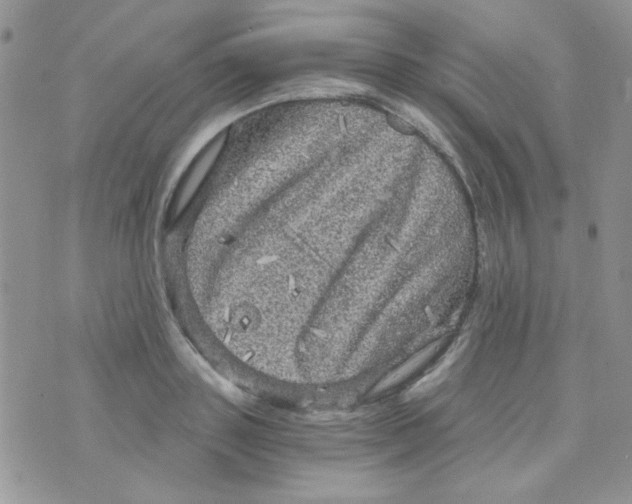 X0000073750843200608311933