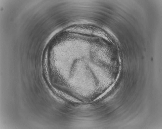 X0000073750845200608311933