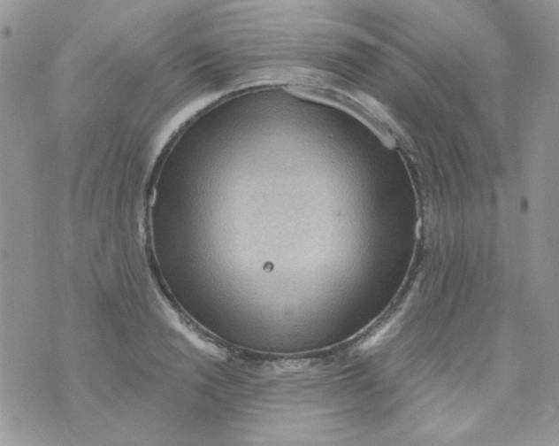 X0000073750846200608311933