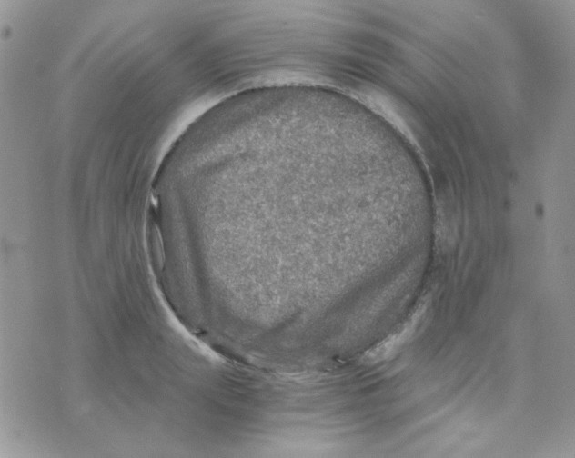 X0000073750847200608311933