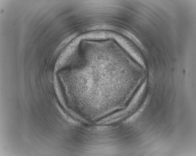 X0000073750849200608311933