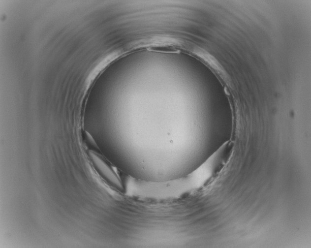 X0000073750850200608311933