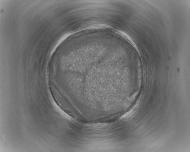 X0000073750851200608311933