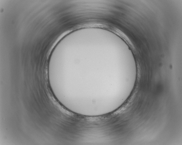 X0000073750852200608311933