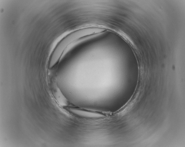 X0000073750854200608311933