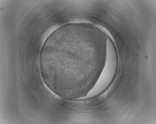 X0000073750855200608311933