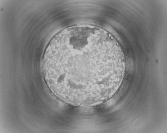 X0000073750856200608311933