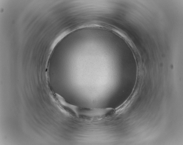 X0000073750858200608311933