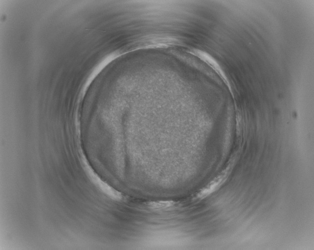 X0000073750859200608311933