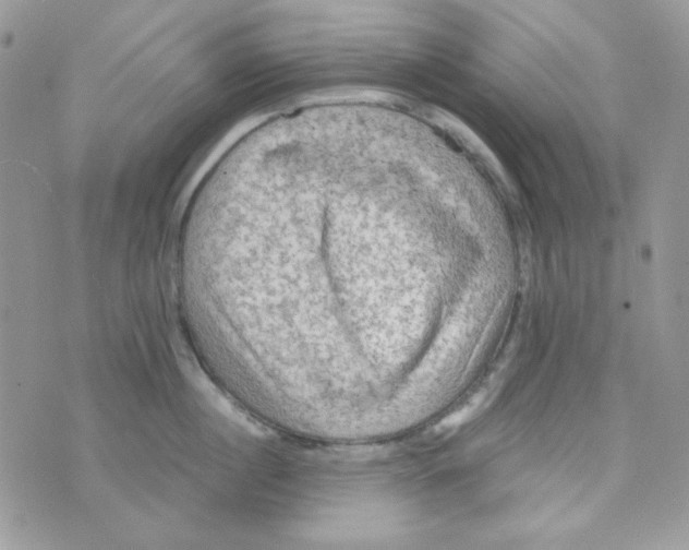 X0000073750860200608311933