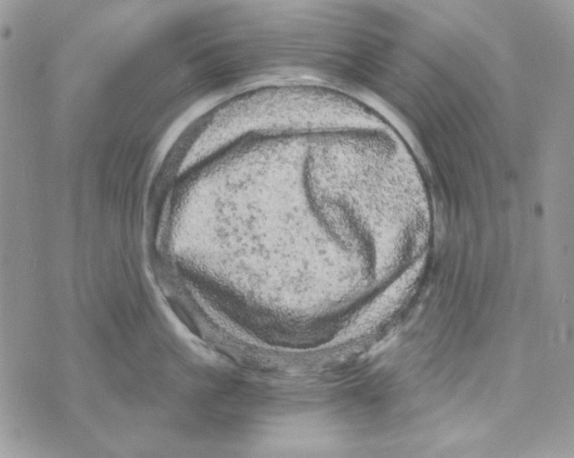 X0000073750861200608311933