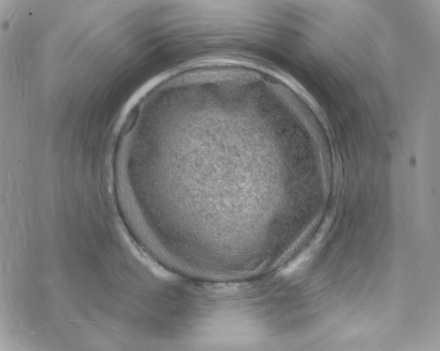 X0000073750862200608311933