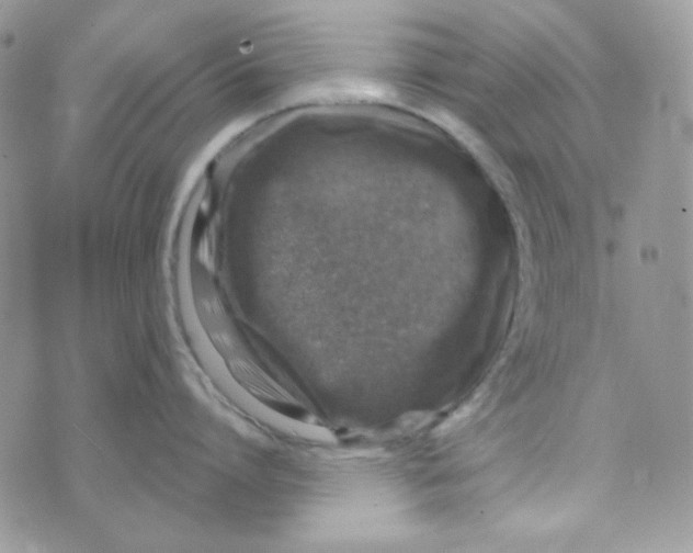 X0000073750864200608311933